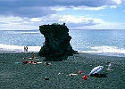Am Strand von Puerto Naos : Felsklotz